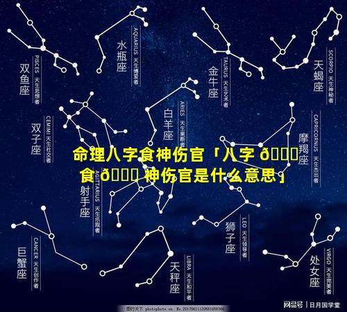 命理八字食神伤官「八字 💐 食 🐝 神伤官是什么意思」